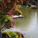 Japanese garden at Missouri Botanical Gardens, St. Louis