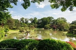 Trees surrounding lake at the Missouri Botanical Gardens - St. Louis