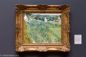 Vineyards at Auvers painting by Van Gogh at St. Louis Art Museum
