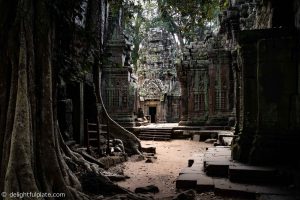 Must See in Siem Reap - Quiet Ta Prohm early morning