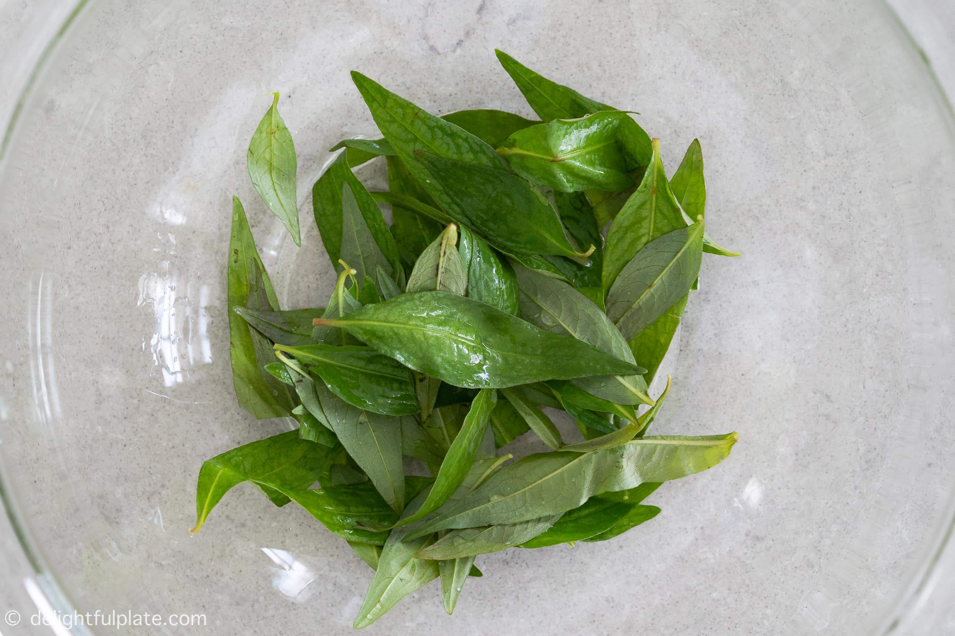 Vietnamese coriander leaves in a bowl