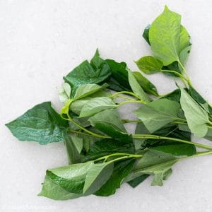 Piper Lolot Leaves (Vietnamese La Lot), often confused with betel leaves
