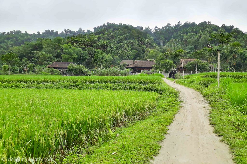 The small road from Xoi Farmstay to Luc Yen Gemstone Market