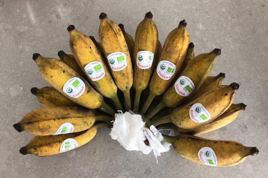 Vietnamese pisang bananas (chuoi su)
