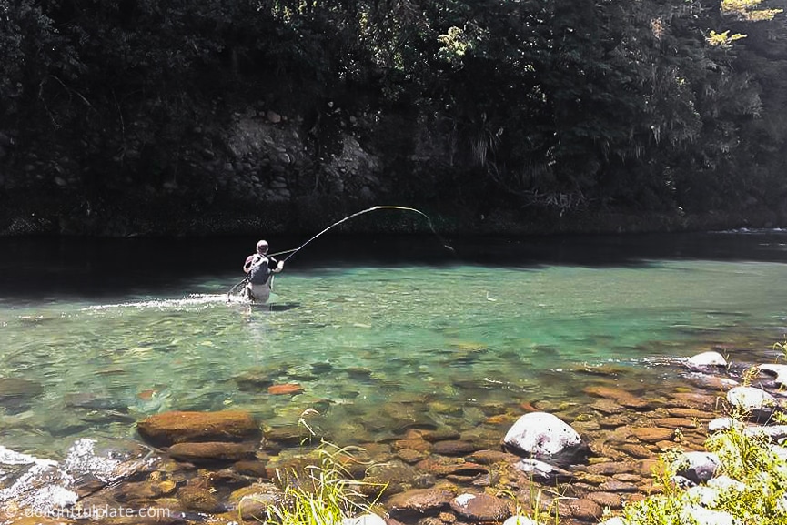Fly fishing at Tongariro River, New Zealand