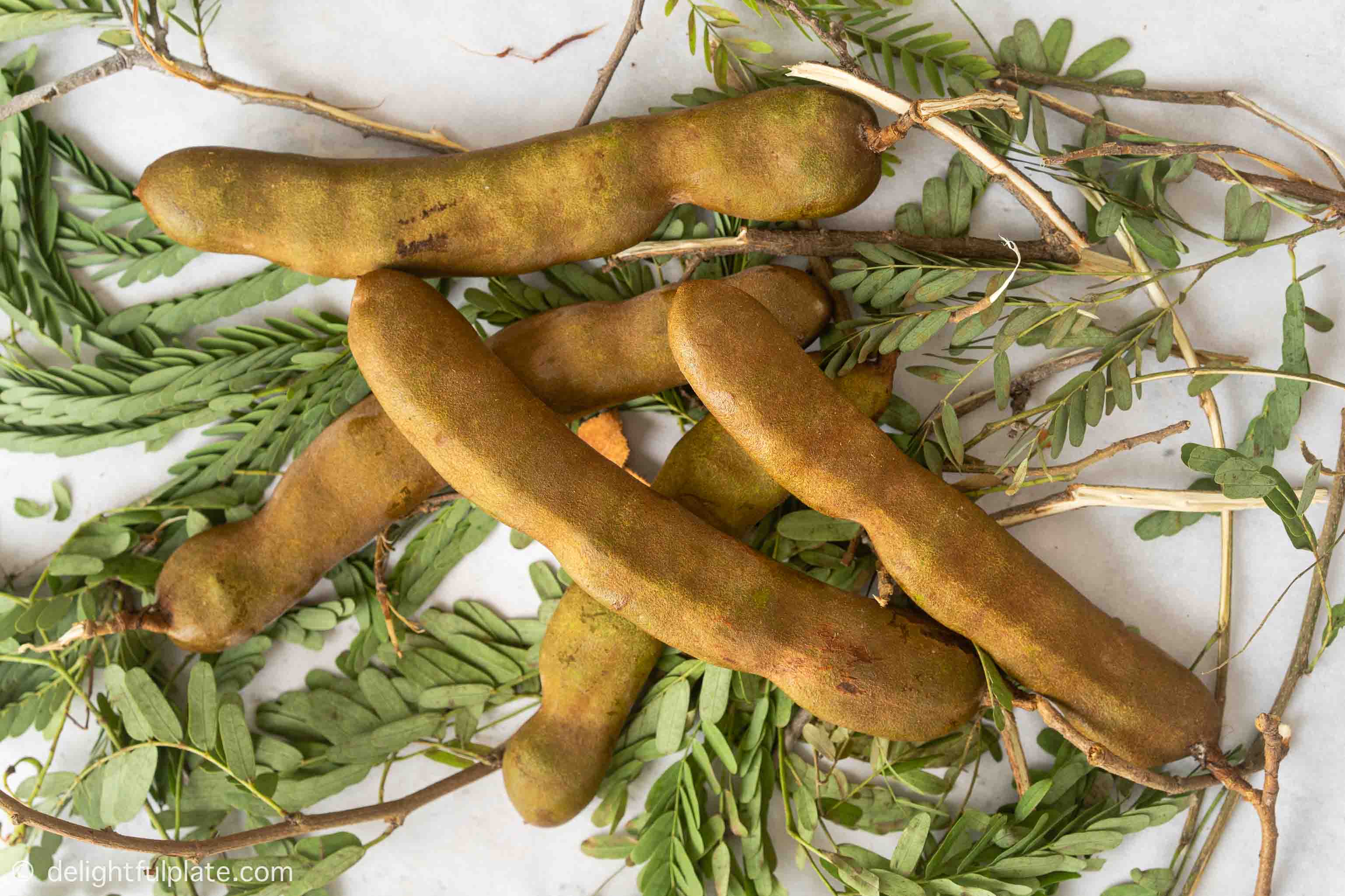 raw tamarind pods