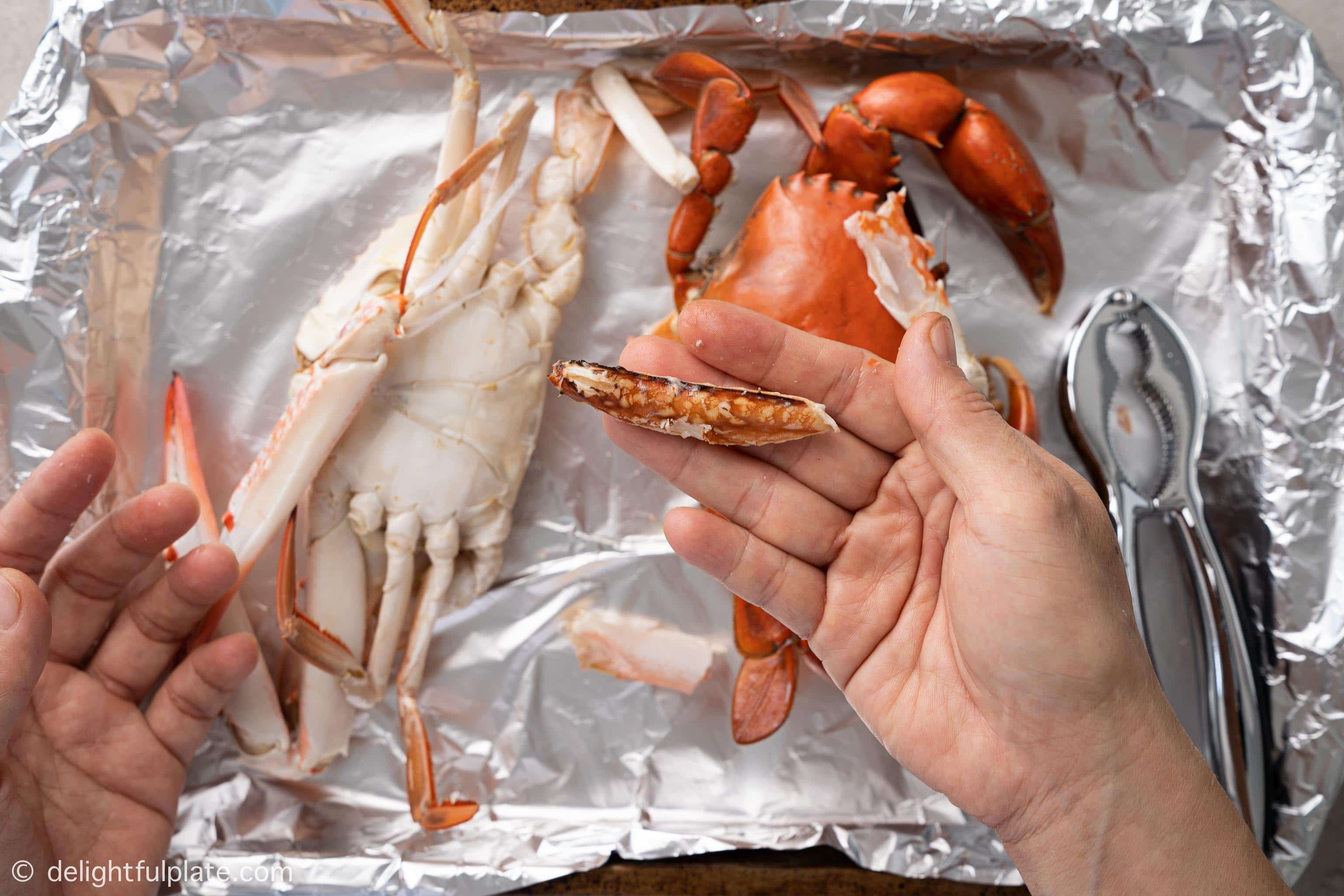 a piece of crab meat that has been picked from steamed crabs