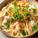 a plate of Vietnamese green mango salad with seafood.