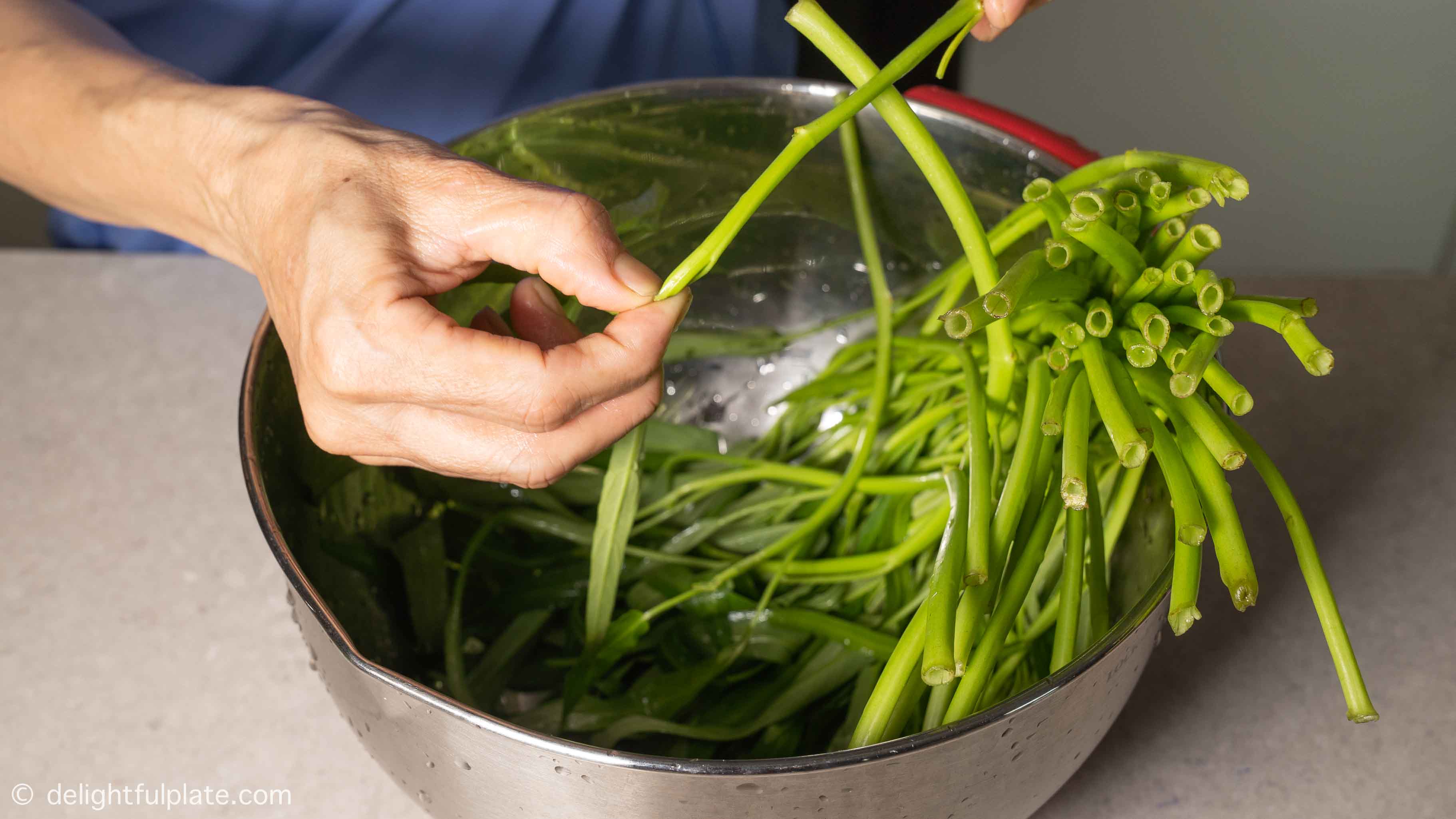 Snipping water spinach stem