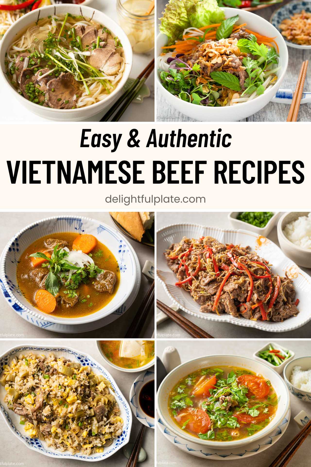 a collage of Vietnamese beef dishes.